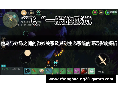 魔鸟与老马之间的微妙关系及其对生态系统的深远影响探析