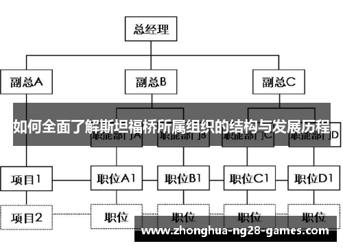 如何全面了解斯坦福桥所属组织的结构与发展历程