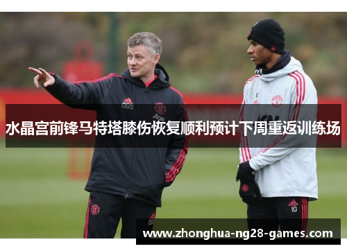 水晶宫前锋马特塔膝伤恢复顺利预计下周重返训练场