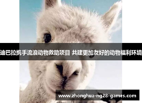 迪巴拉携手流浪动物救助项目 共建更加友好的动物福利环境 迪巴拉携手流浪动物救助项目 共建更加友好的动物福利环境
